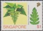 植物:亚洲:新加坡:sg199004.jpg