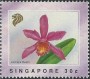 植物:亚洲:新加坡:sg199102.jpg