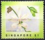 植物:亚洲:新加坡:sg199103.jpg