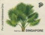 植物:亚洲:新加坡:sg199306.jpg
