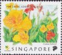 植物:亚洲:新加坡:sg199802.jpg