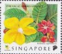 植物:亚洲:新加坡:sg199805.jpg