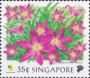 植物:亚洲:新加坡:sg199806.jpg