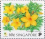植物:亚洲:新加坡:sg199809.jpg