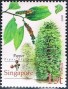 植物:亚洲:新加坡:sg200801.jpg