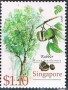 植物:亚洲:新加坡:sg200803.jpg