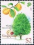 植物:亚洲:新加坡:sg200804.jpg