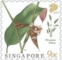 植物:亚洲:新加坡:sg201803.jpg