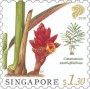 植物:亚洲:新加坡:sg201804.jpg