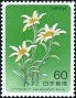 植物:亚洲:日本:jp198401.jpg