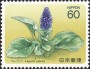 植物:亚洲:日本:jp198402.jpg