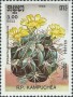 植物:亚洲:柬埔寨:cb198607.jpg