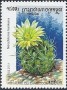 植物:亚洲:柬埔寨:cb200105.jpg