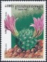 植物:亚洲:柬埔寨:cb200106.jpg