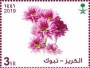 植物:亚洲:沙特阿拉伯:sa202005.jpg