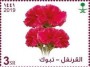 植物:亚洲:沙特阿拉伯:sa202010.jpg