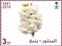 植物:亚洲:沙特阿拉伯:sa202011.jpg