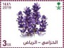 植物:亚洲:沙特阿拉伯:sa202012.jpg