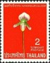 植物:亚洲:泰国:th196706.jpg