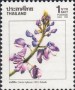 植物:亚洲:泰国:th198902.jpg