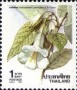 植物:亚洲:泰国:th199001.jpg
