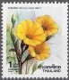 植物:亚洲:泰国:th199003.jpg