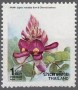 植物:亚洲:泰国:th199004.jpg