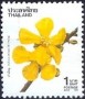植物:亚洲:泰国:th199105.jpg