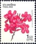 植物:亚洲:泰国:th199108.jpg