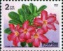 植物:亚洲:泰国:th199501.jpg