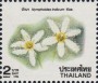 植物:亚洲:泰国:th199608.jpg