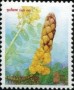 植物:亚洲:泰国:th199701.jpg