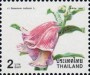 植物:亚洲:泰国:th199804.jpg