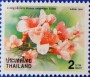 植物:亚洲:泰国:th199907.jpg