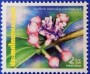 植物:亚洲:泰国:th200004.jpg