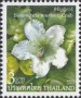 植物:亚洲:泰国:th200506.jpg