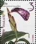 植物:亚洲:泰国:th201506.jpg