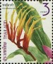 植物:亚洲:泰国:th201514.jpg