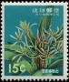 植物:亚洲:琉球:ry196301.jpg