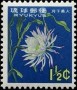 植物:亚洲:琉球:ry196302.jpg