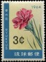 植物:亚洲:琉球:ry196401.jpg