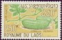 植物:亚洲:老挝:la196804.jpg
