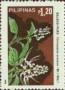 植物:亚洲:菲律宾:ph198502.jpg