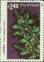 植物:亚洲:菲律宾:ph198503.jpg