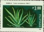 植物:亚洲:菲律宾:ph198504.jpg