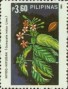 植物:亚洲:菲律宾:ph198505.jpg