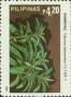 植物:亚洲:菲律宾:ph198506.jpg