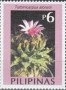 植物:亚洲:菲律宾:ph200301.jpg