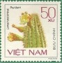 植物:亚洲:越南:vn198502.jpg