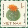 植物:亚洲:越南:vn198503.jpg